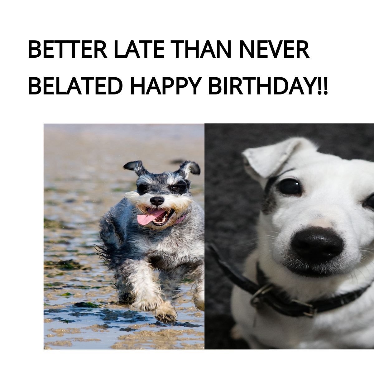 Free Happy Late Birthday Meme