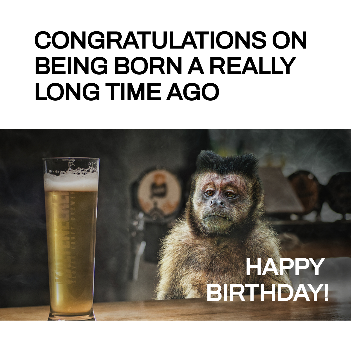 Free Happy Birthday Beer Meme