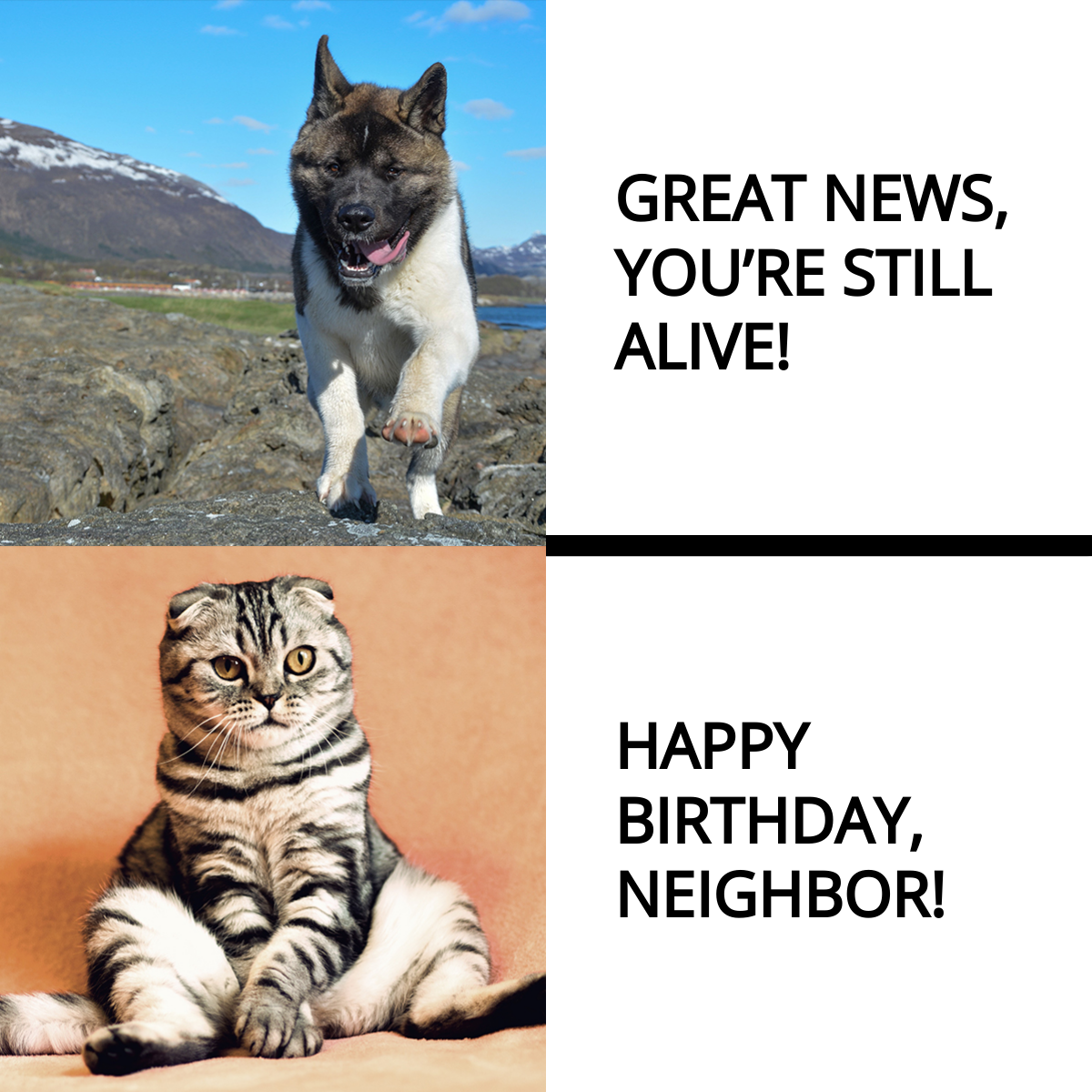 Free Happy Birthday Neighbor Meme