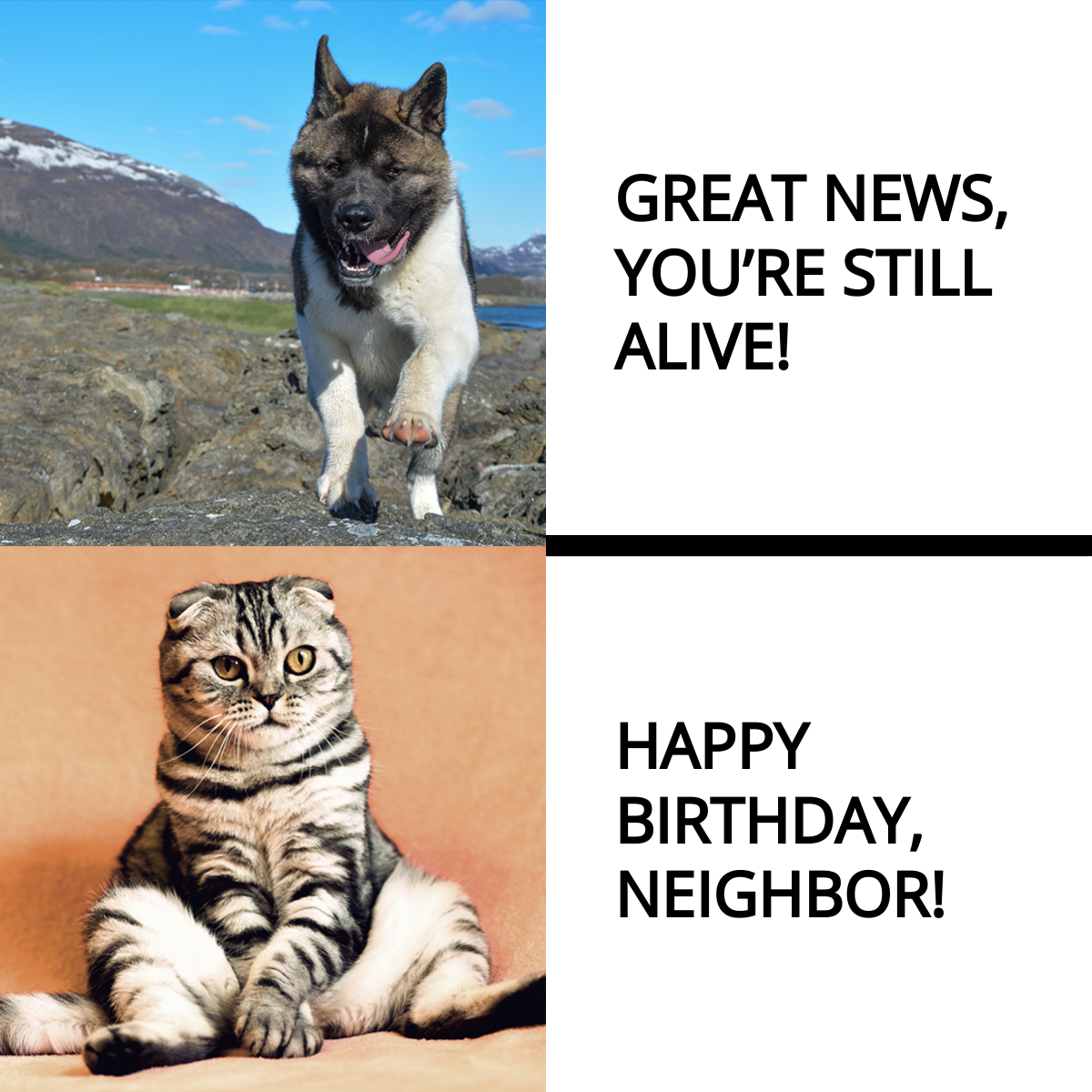 Free Happy Birthday Neighbor Meme Template