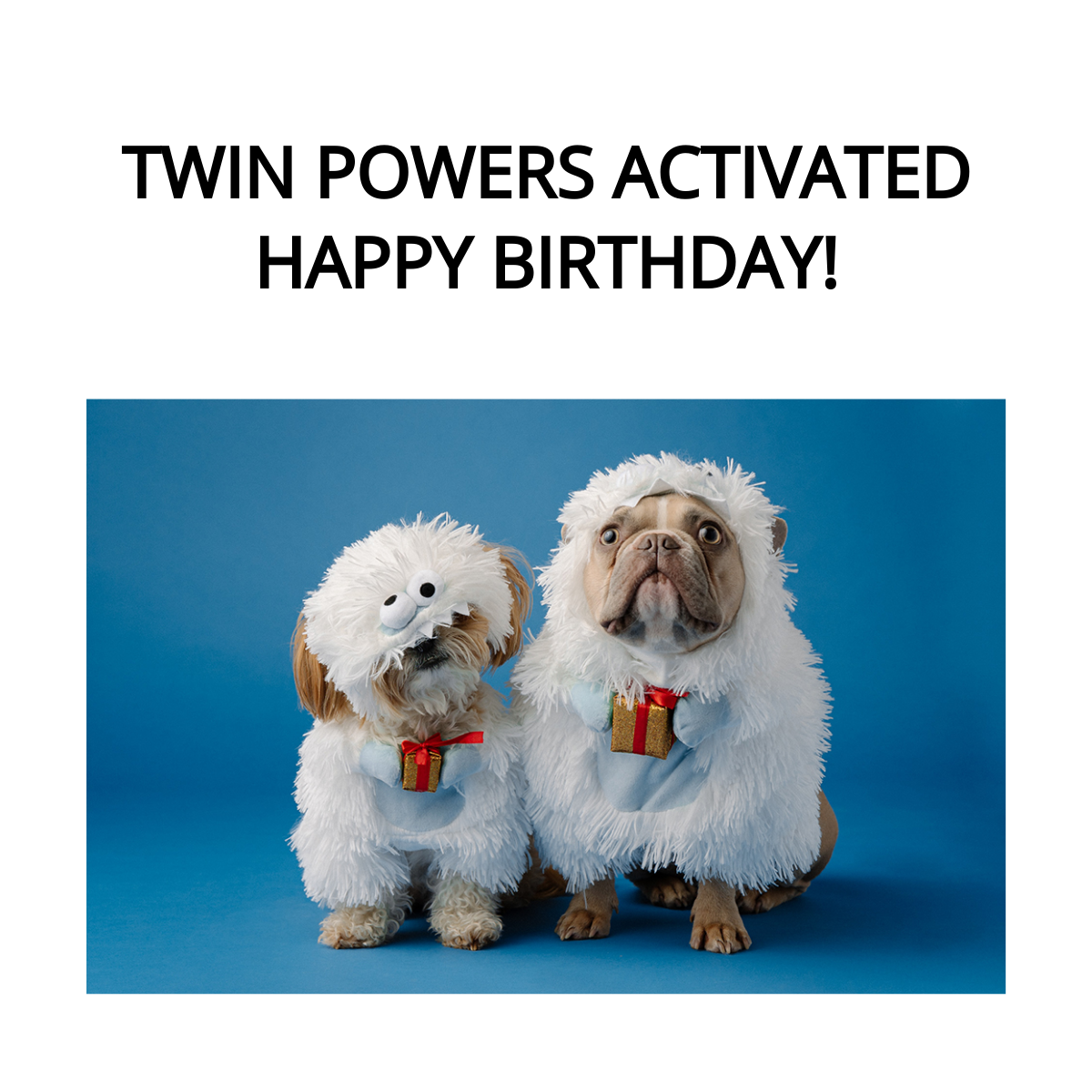 Free Happy Birthday Twins Meme
