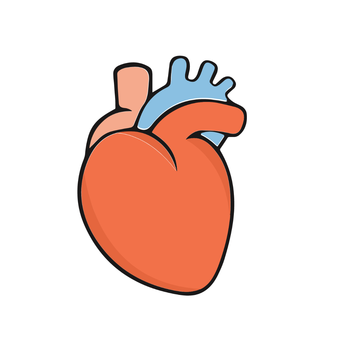 Human Heart Clipart Template