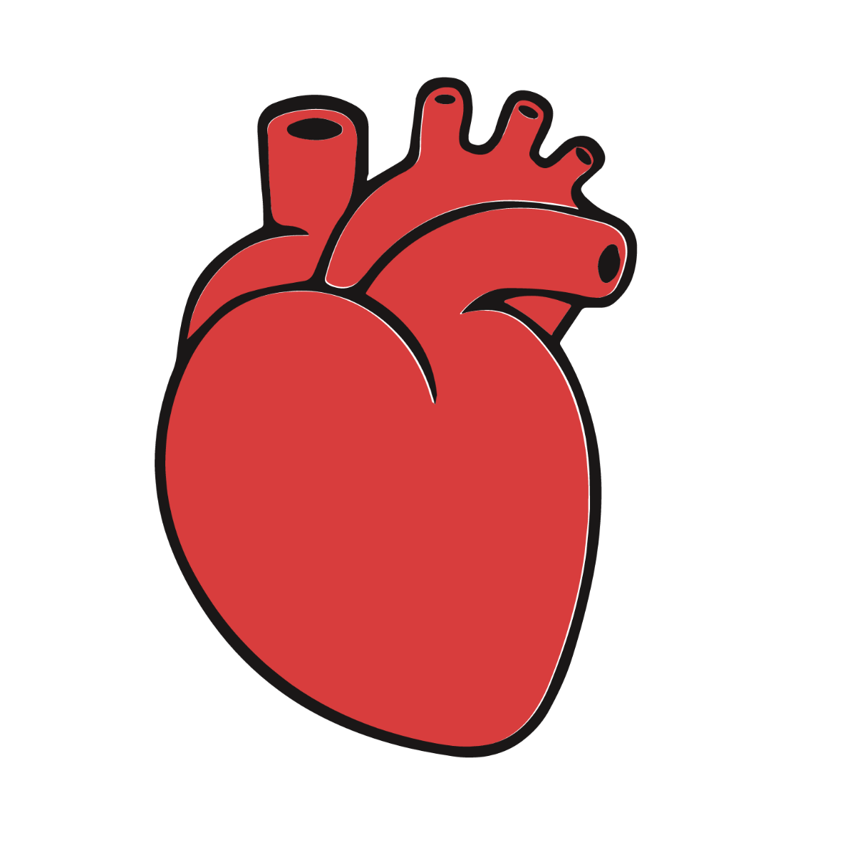 Free Simple Human Heart Clipart Template