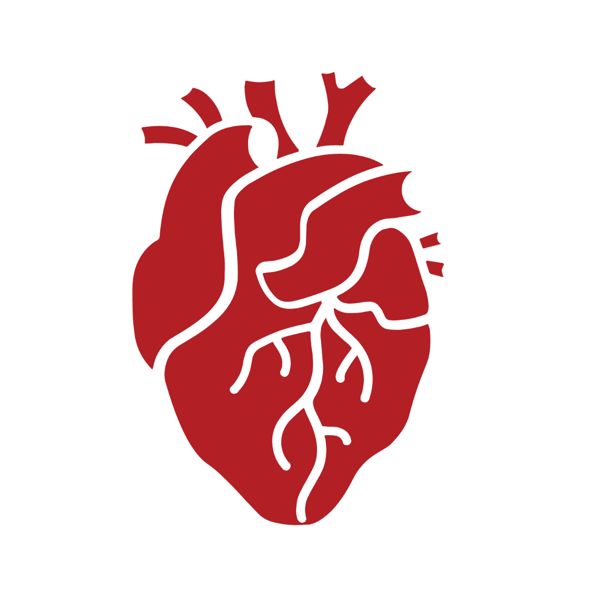 Transparent Human Heart Clipart Template