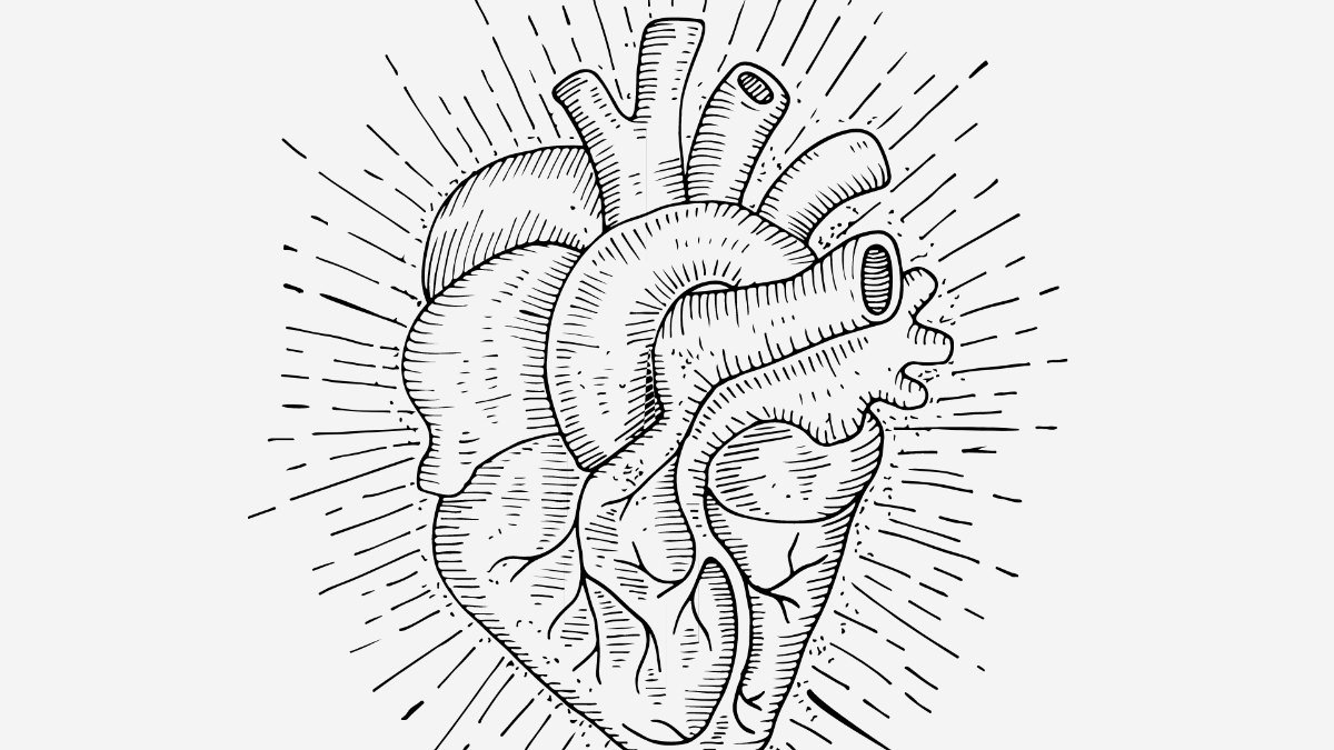 Anatomical Heart Background Template