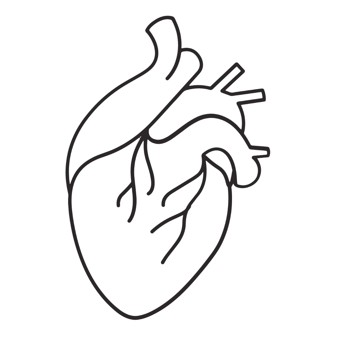 Human Heart Outline Clipart Template