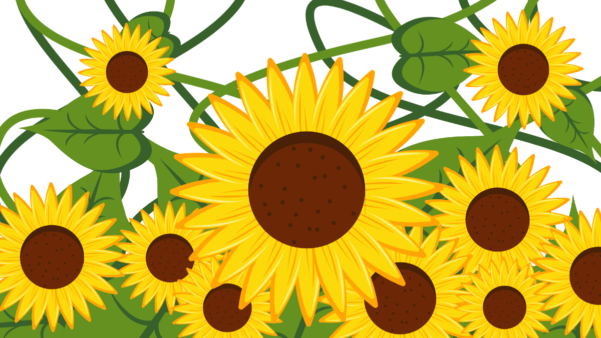 Sunflower Transparent Background Template