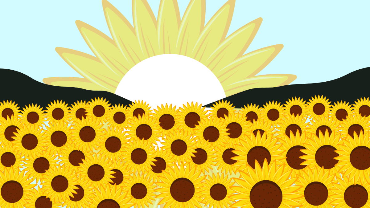 Sunflower Field Background Template
