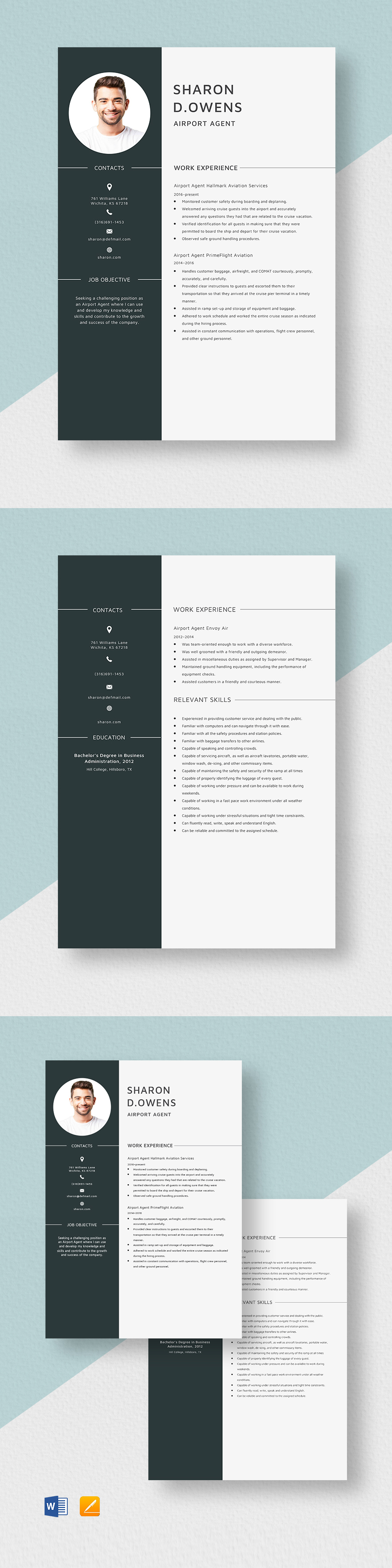 Free Airport Agent Resume Template