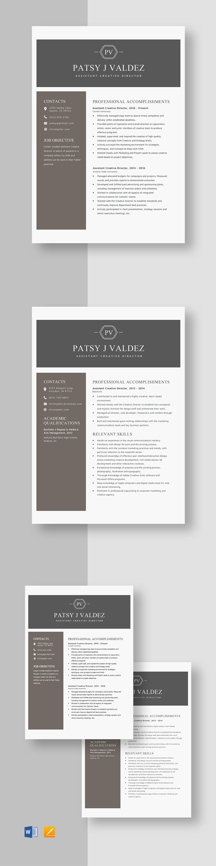 Assistant Creative Director Resume Template