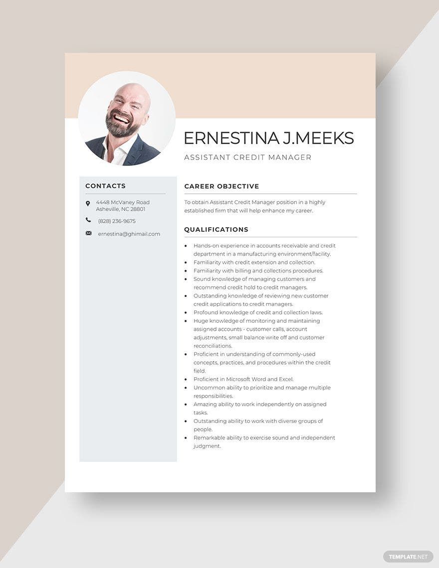 Free Assistant Credit Manager Resume Template