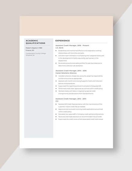 Assistant Credit Manager Resume Template