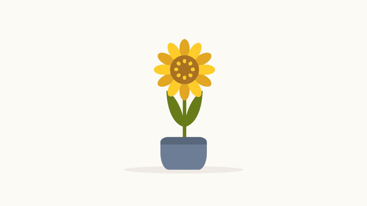 Free Sunflower with White Background Template