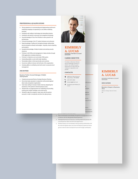Business Partner Account Manager Resume Download