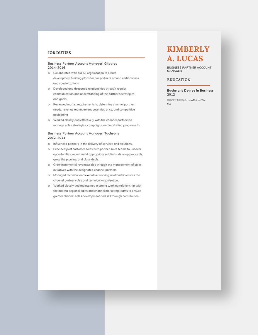 business-partner-account-manager-resume-word-apple-pages-template