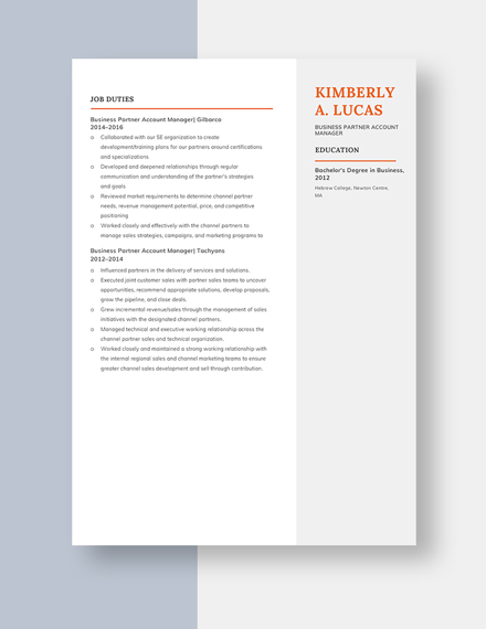 Business Partner Account Manager Resume Template