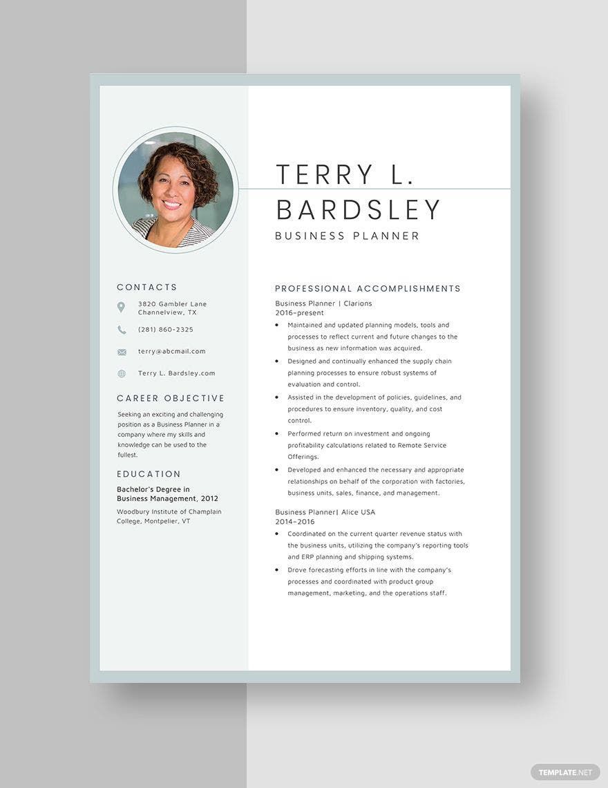Business Planner Resume in Word, Apple Pages