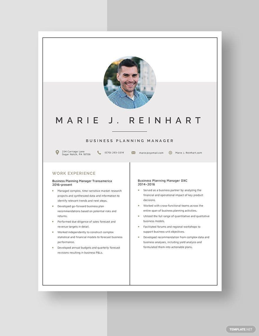 Business Planning Manager Resume Template