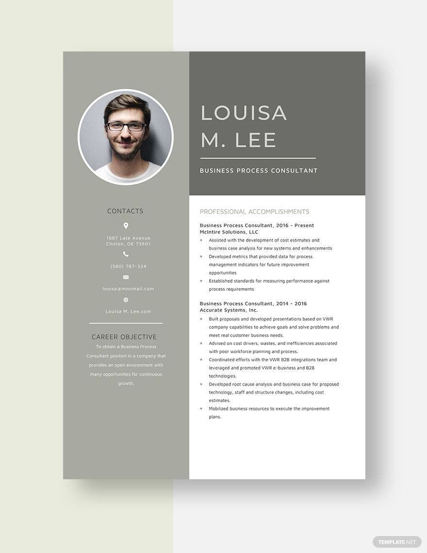 Business Process Consultant Resume Template