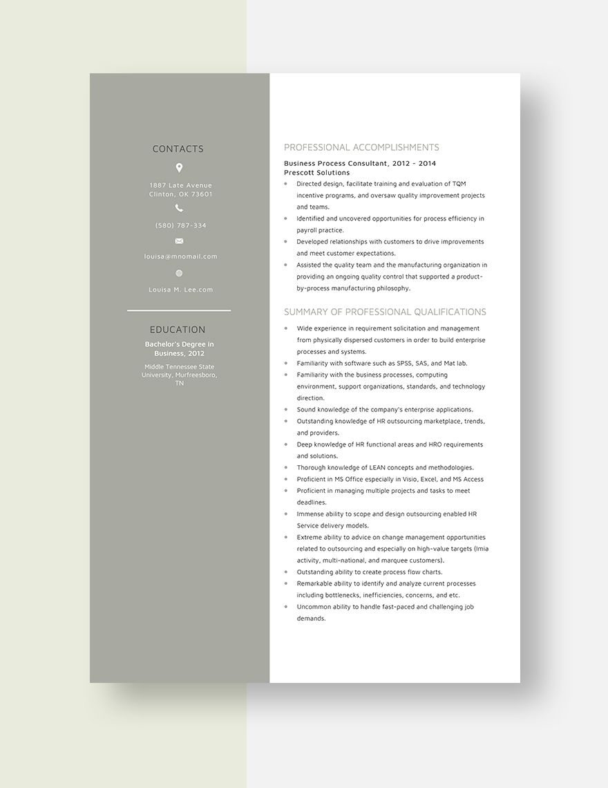 Business Process Consultant Resume