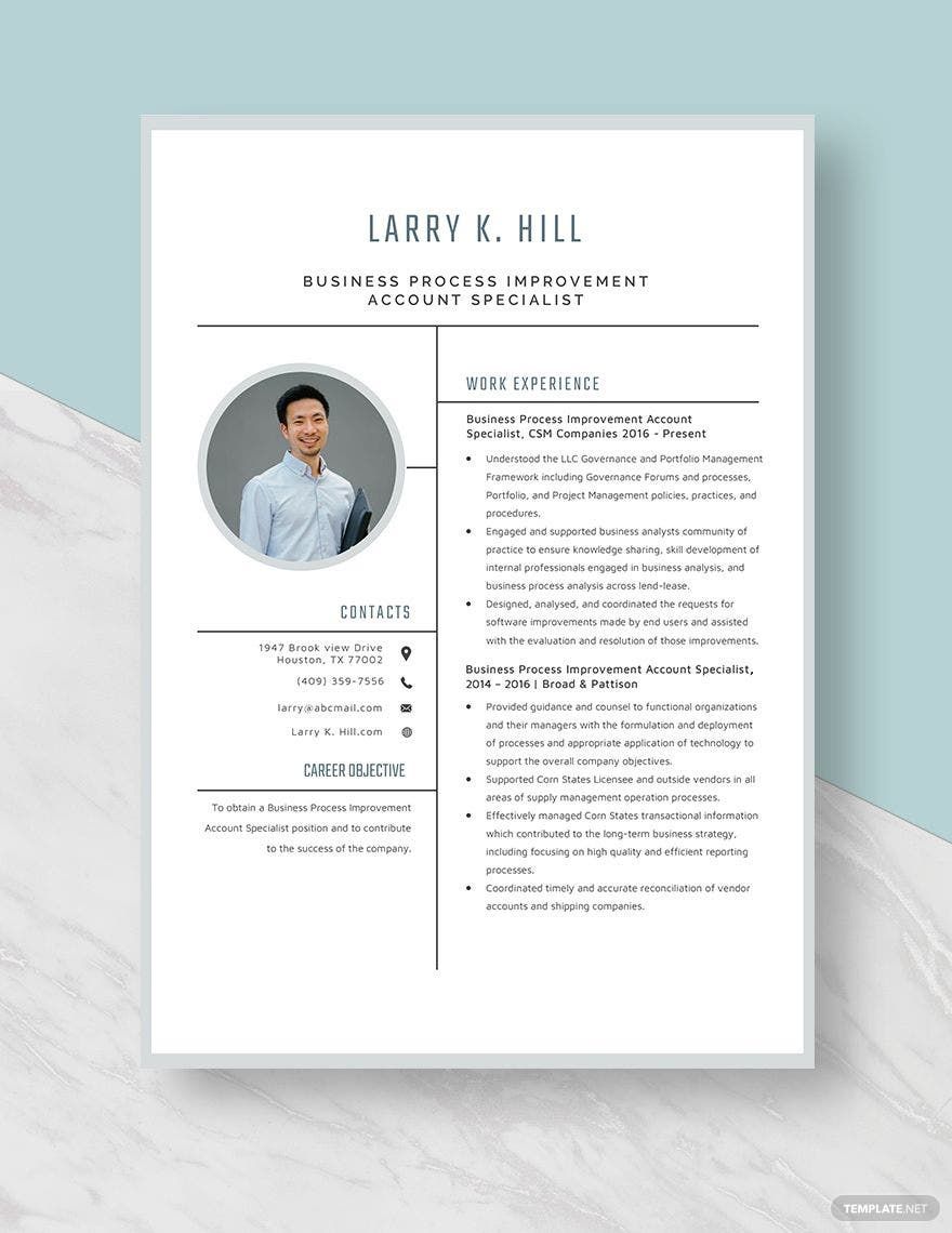 Business Process Improvement Account Specialist Resume Template