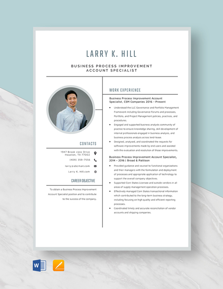 Business Process Executive Resume/CV Template - Word | PSD | Apple ...