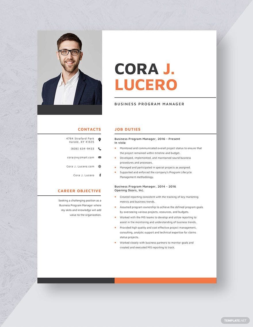Business Program Manager Resume Template