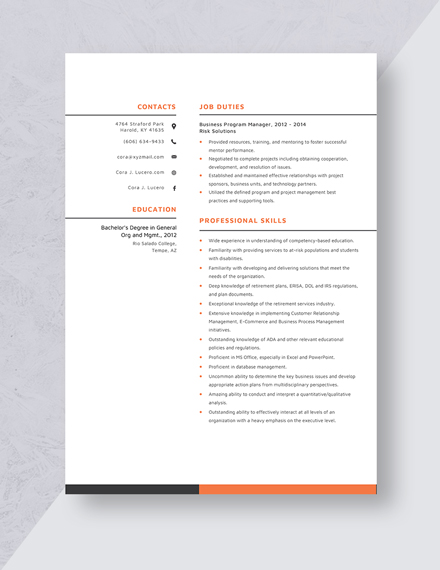 Business Program Manager Resume Template