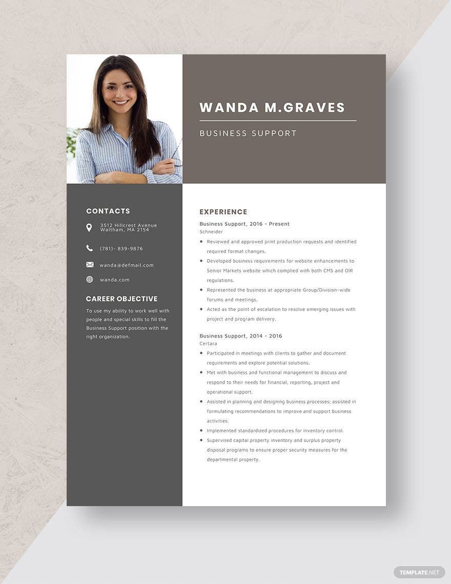 Business Support Resume Template