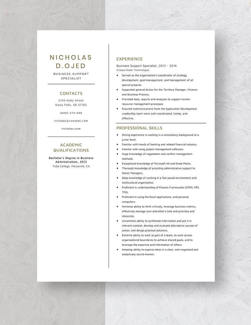 Business Support Specialist Resume
