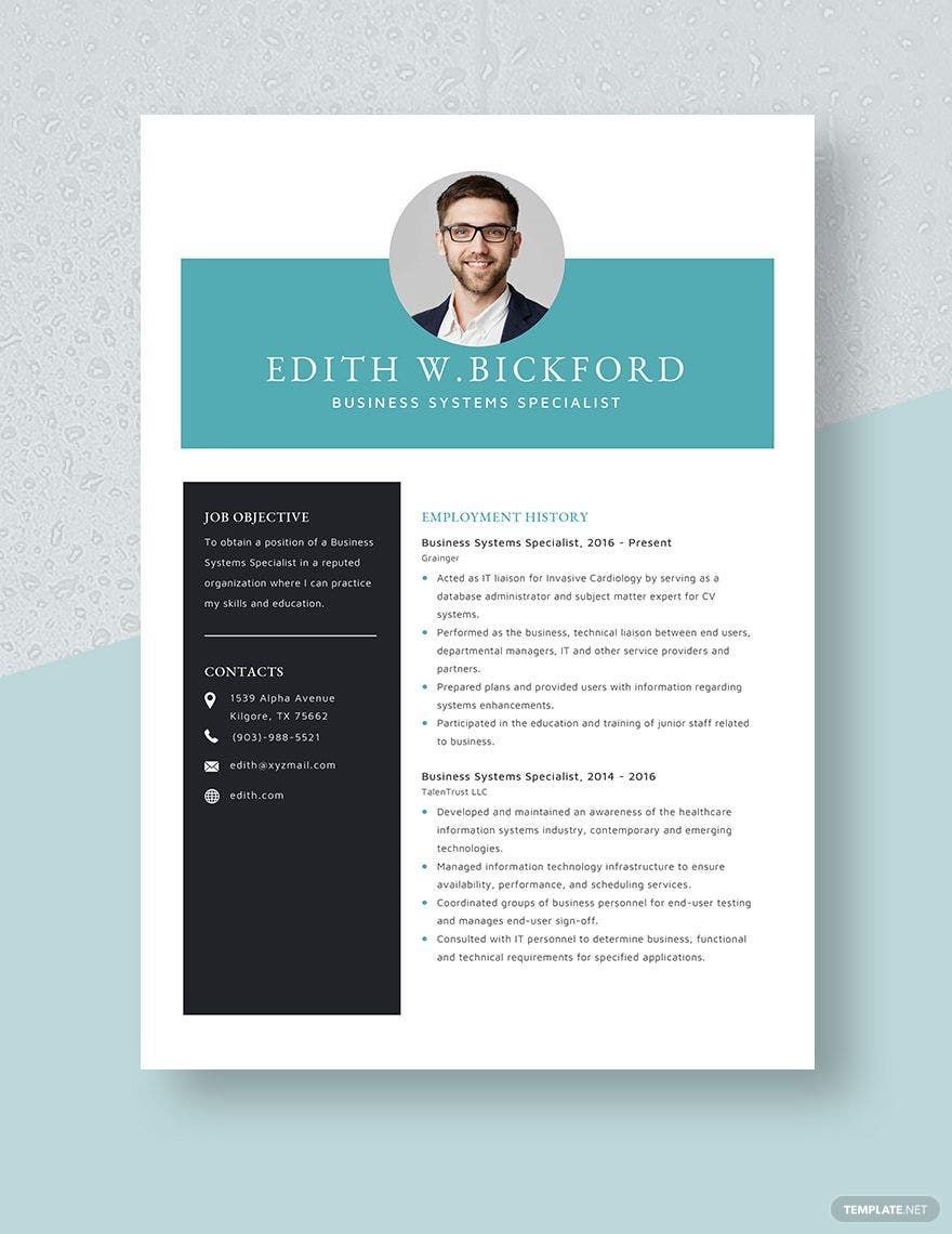 Business Systems Specialist Resume Template