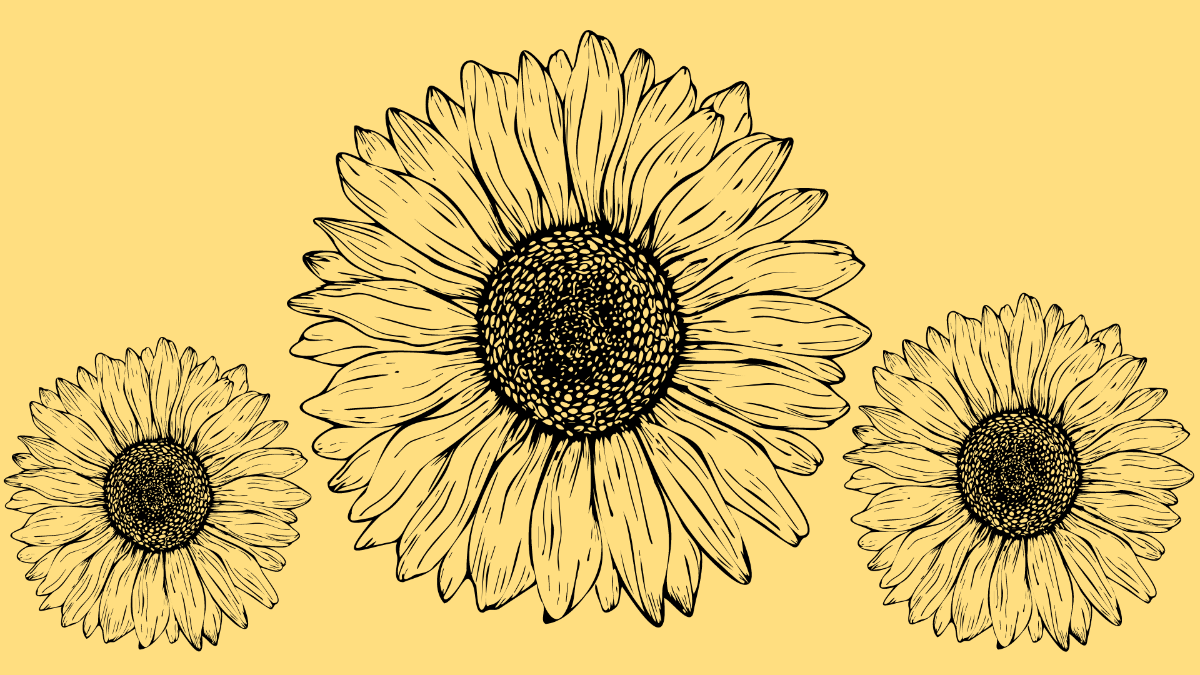 Free Tumblr Sunflower Background Template