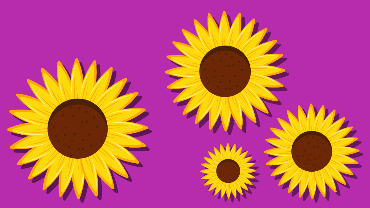 Free Pretty Sunflower Background Template