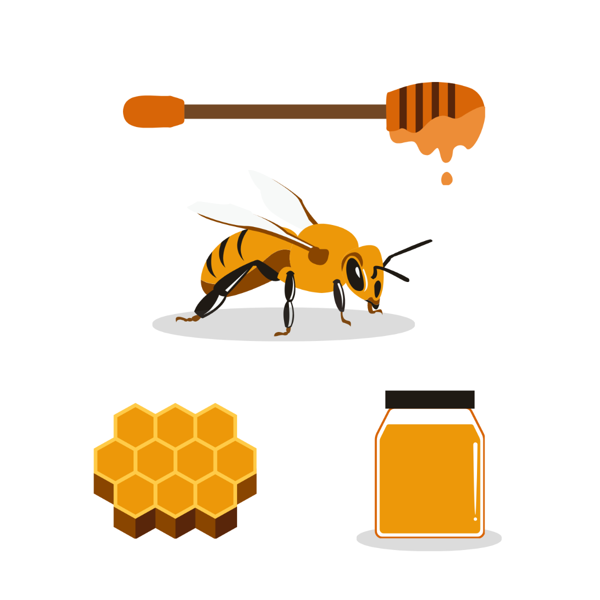 Honey Vector Template