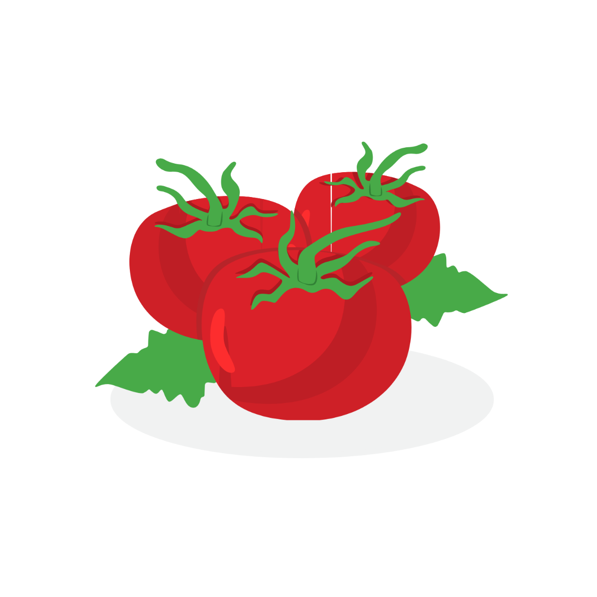 Tomato Vector Template