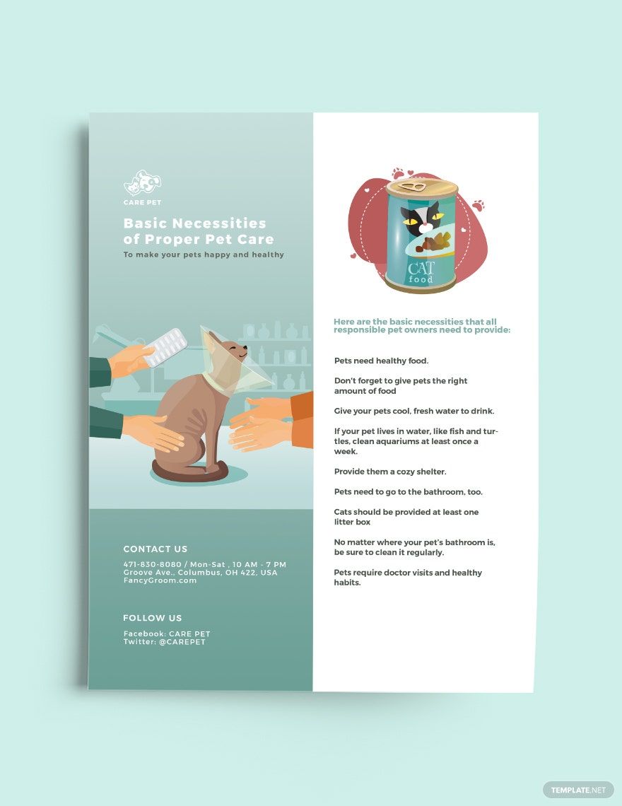 Animal and Pet Care Flyer Template