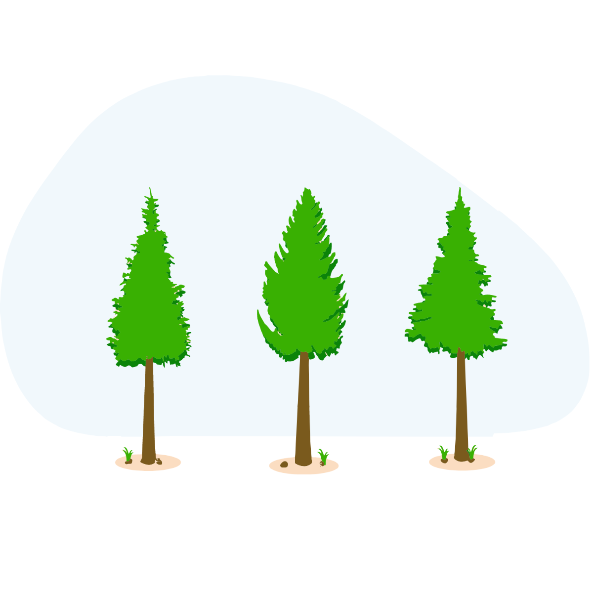 Simple Pine Tree Vector Template