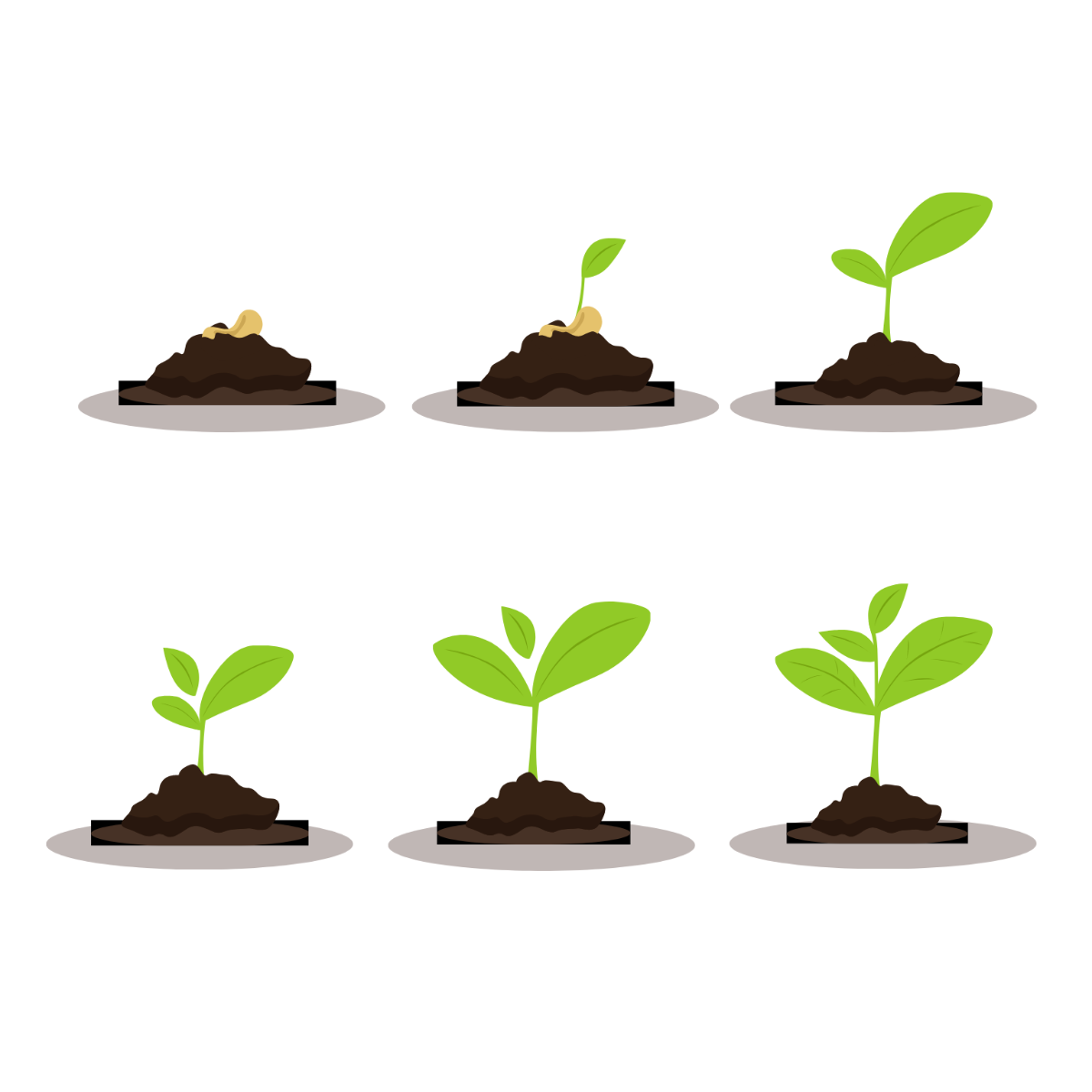 Free Growing Plant Vector Template