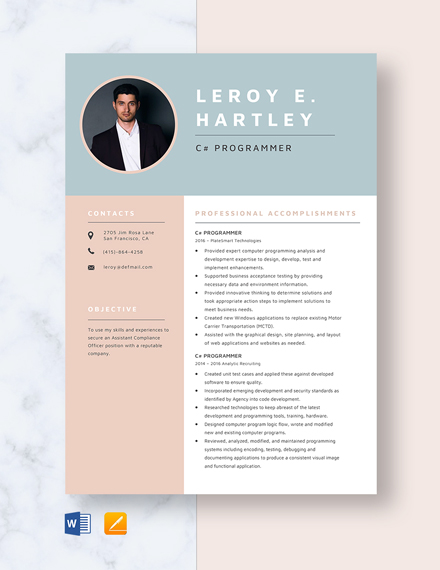 48+ Free Programmer Resume Cv Templates [edit & Download] 