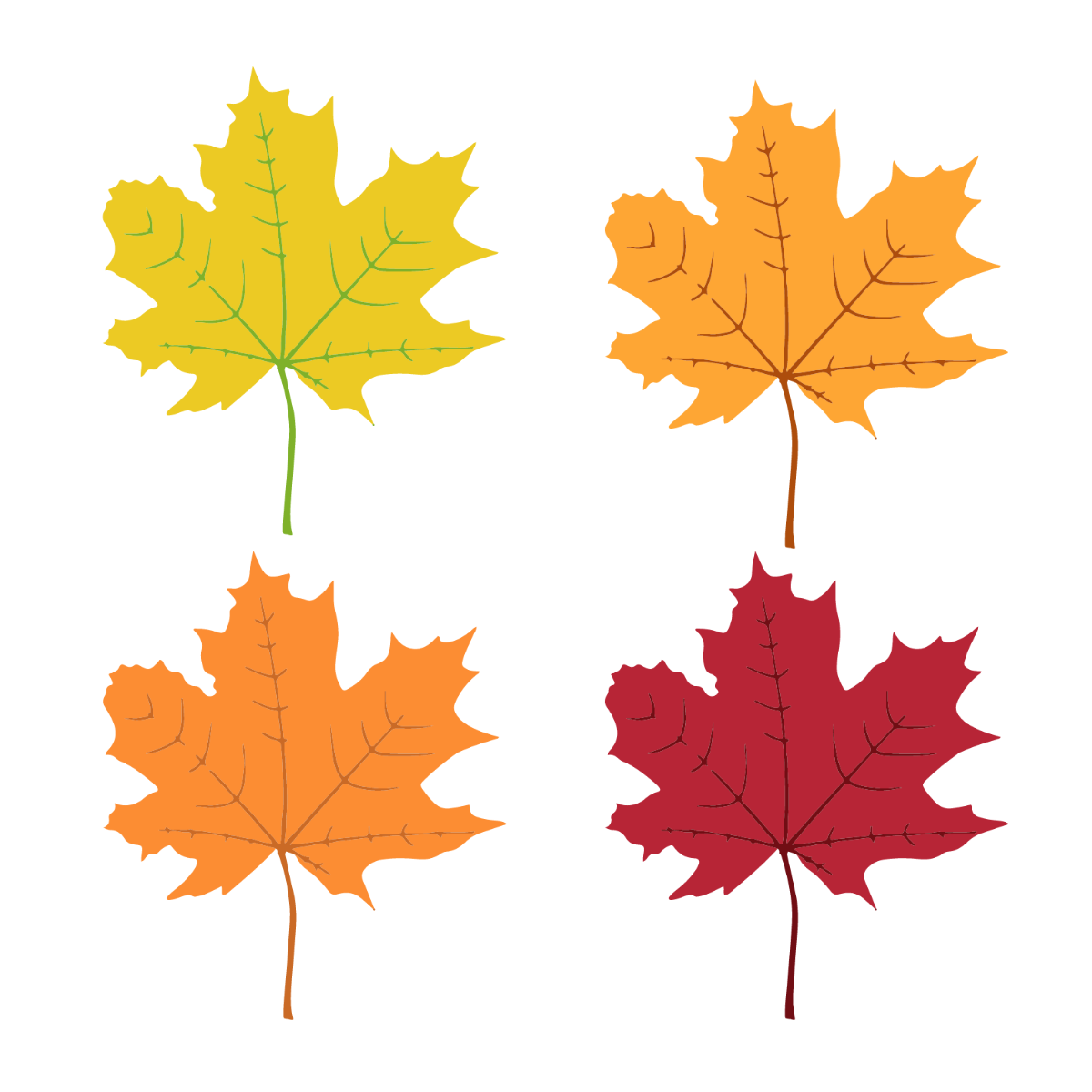 Autumn Maple Leaf Vector Template