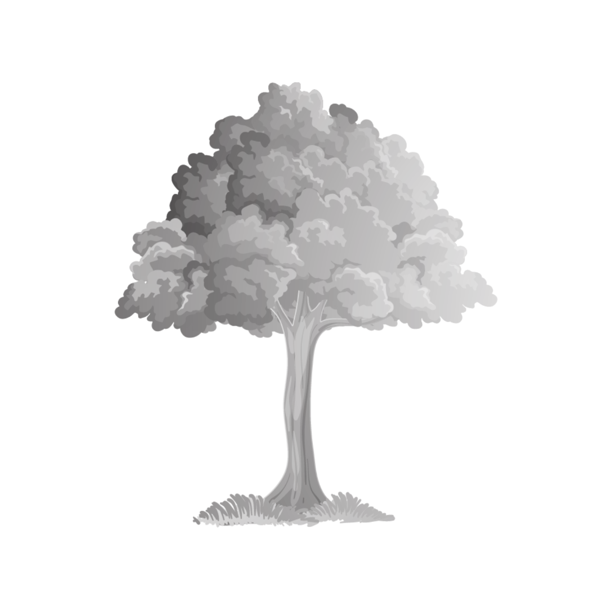 Transparent Tree Vector