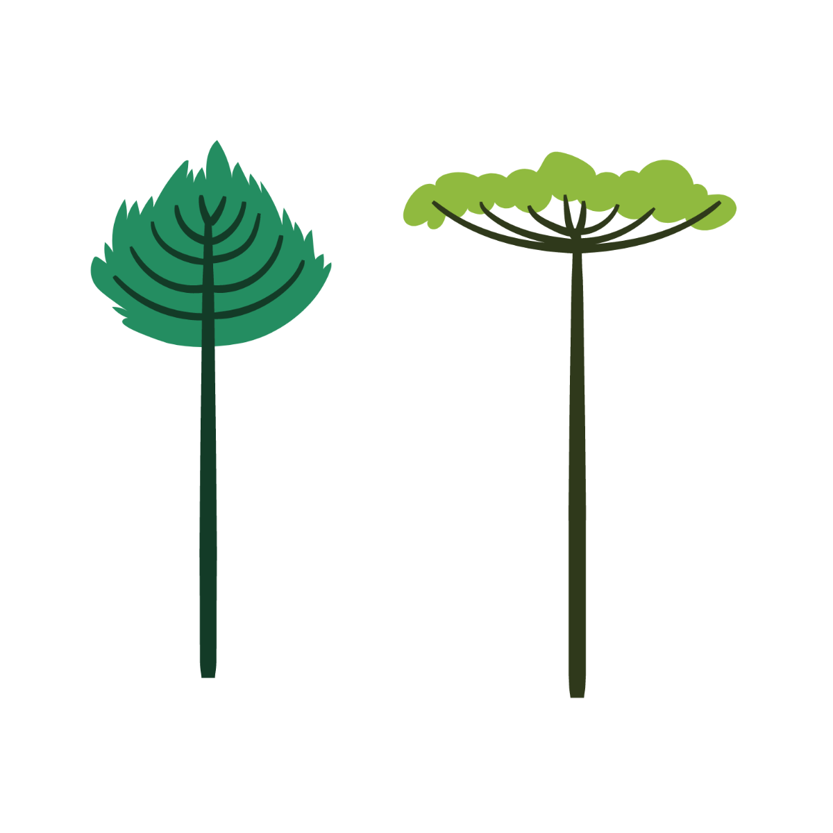 Tall Tree Vector Template