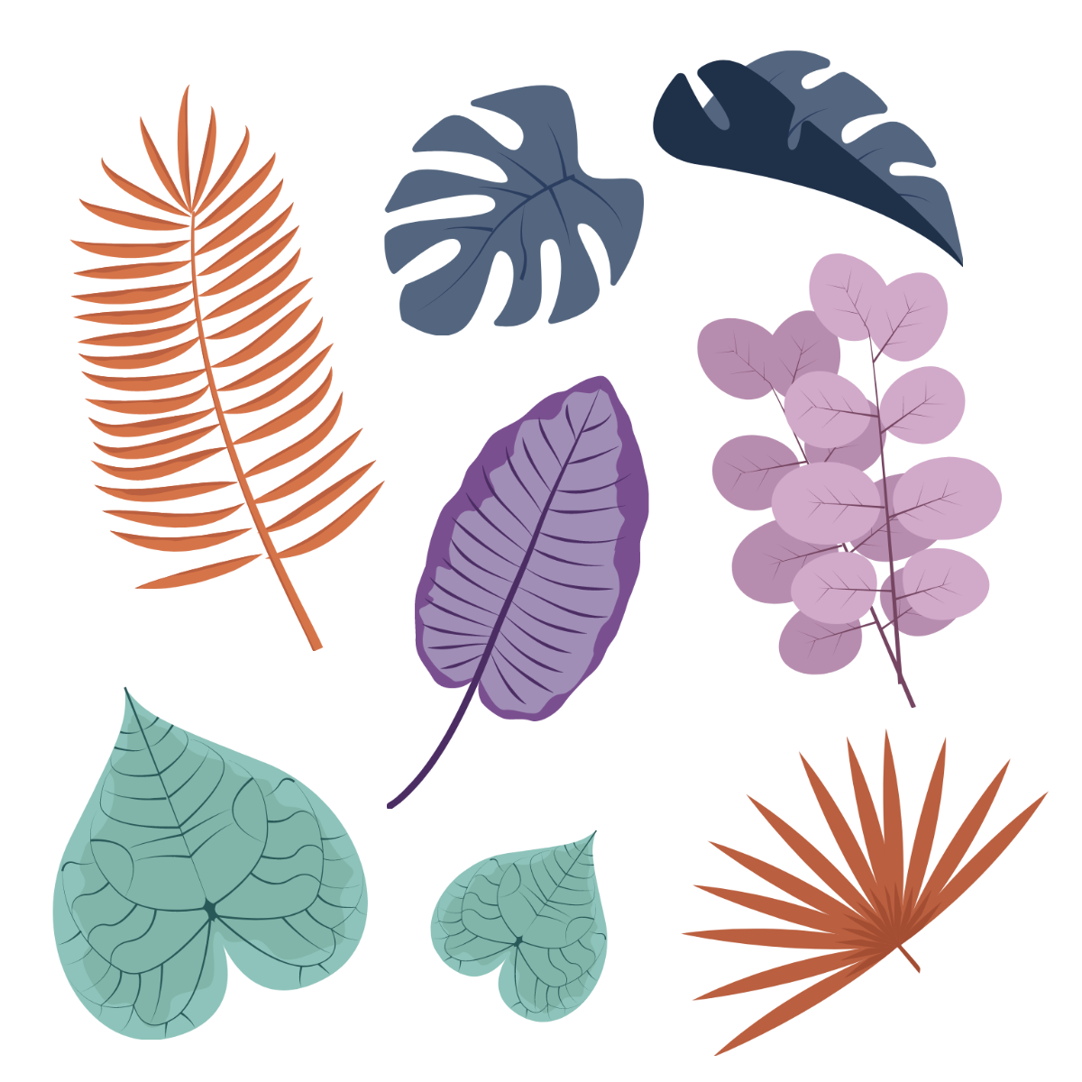 Plant Leaf Vector Template