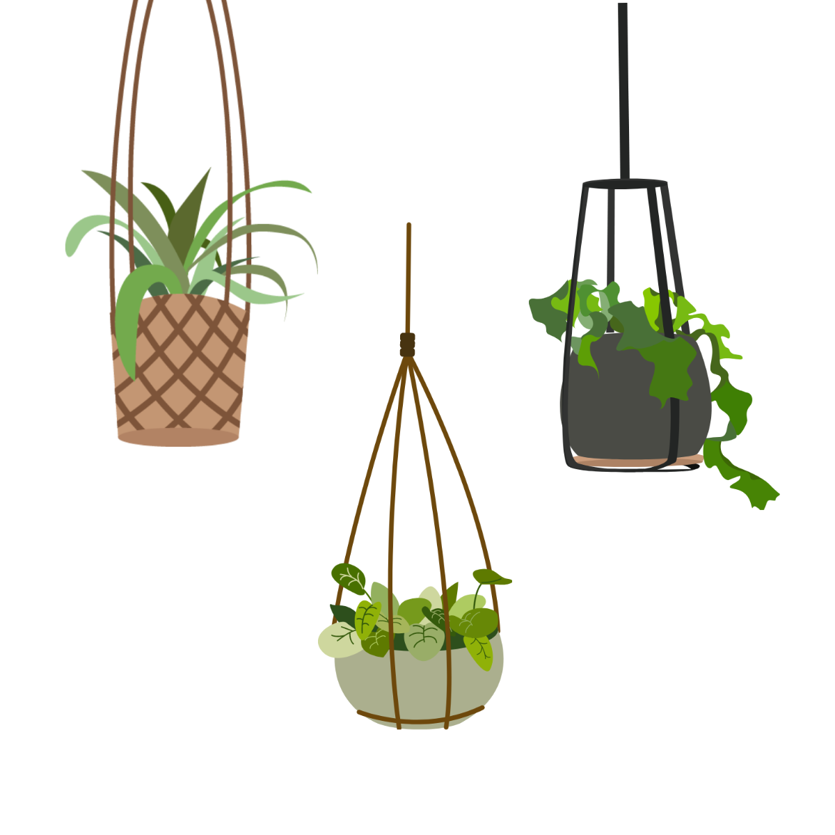 Hanging Plant Vector Template