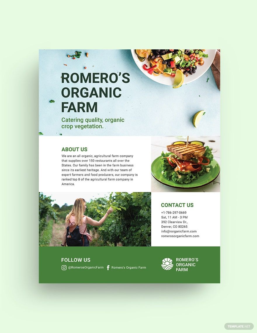 Bio Food for Caterer Flyer Template
