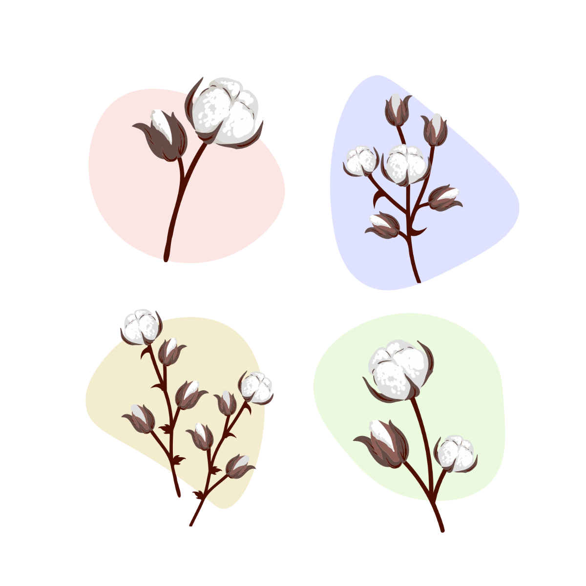 Free Cotton Plant Vector Template