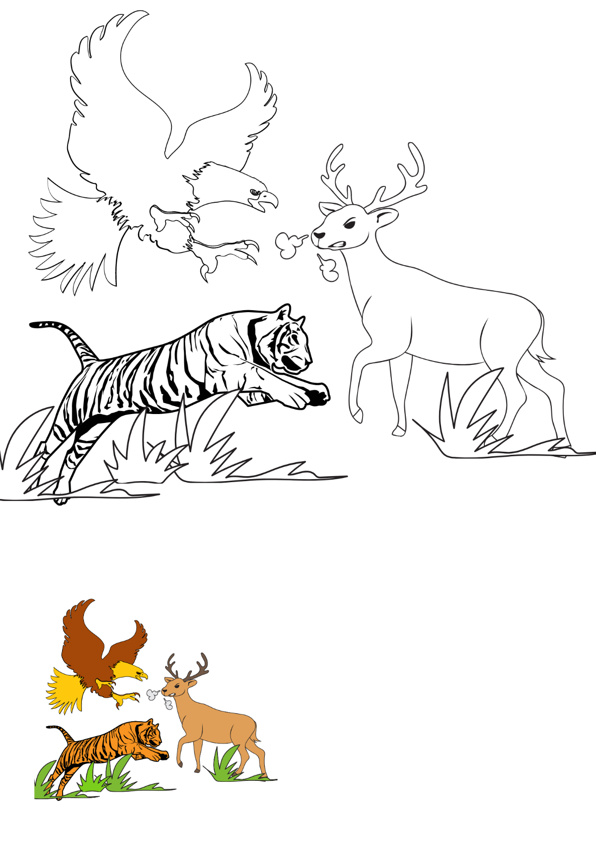 Forest Animals Coloring Pages Template