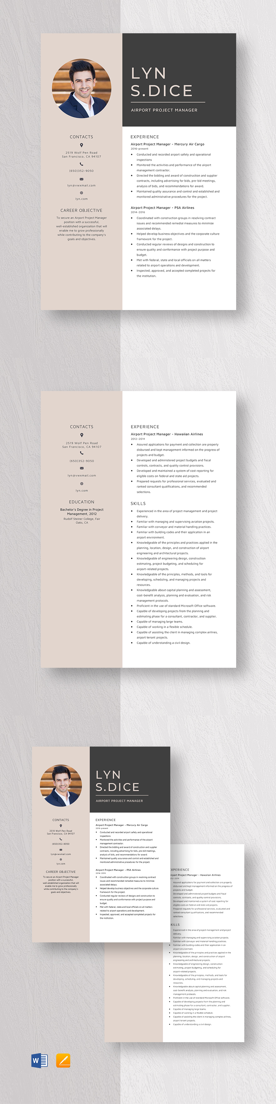 Airport Project Manager Resume Template