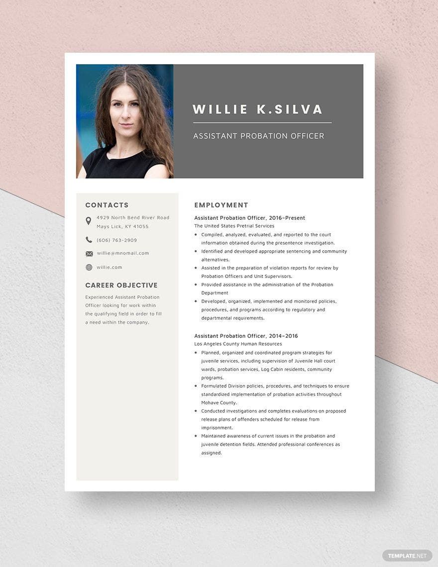 Assistant Probation Officer Resume in Word, Apple Pages