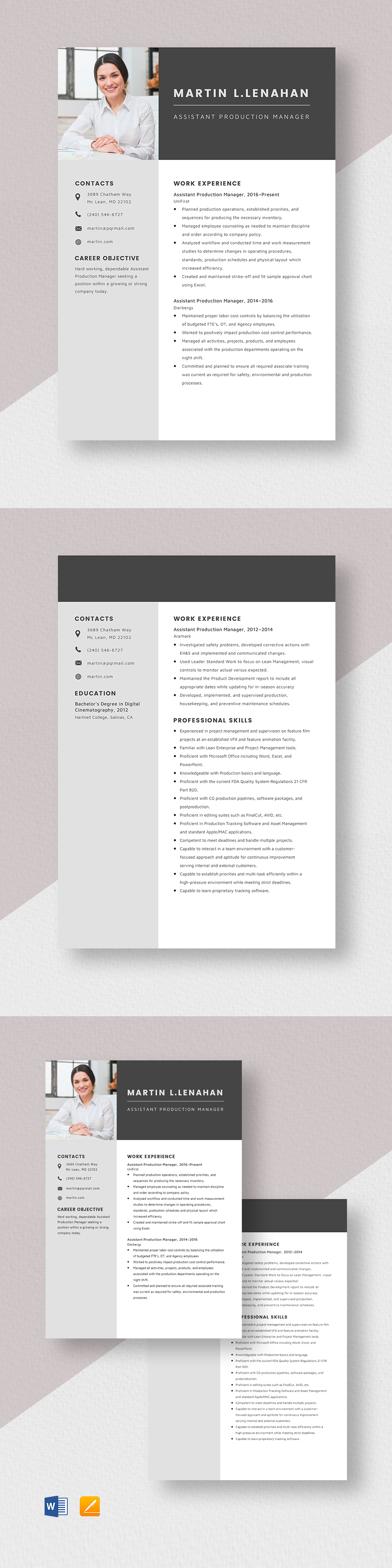 Production Data Analyst Resume Template PSD Template net